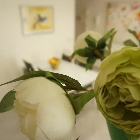 Dante - Centro アパート *