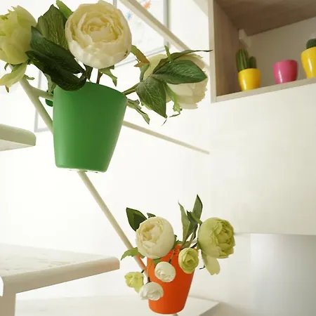 Dante - Centro * バーリ