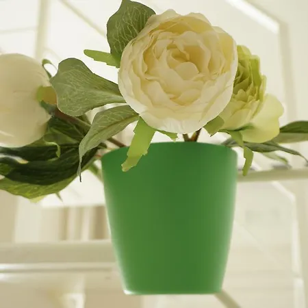 Dante - Centro Бари